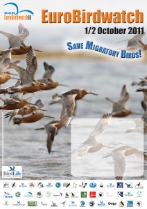 EuroBirdwatch2011_Poster_hr